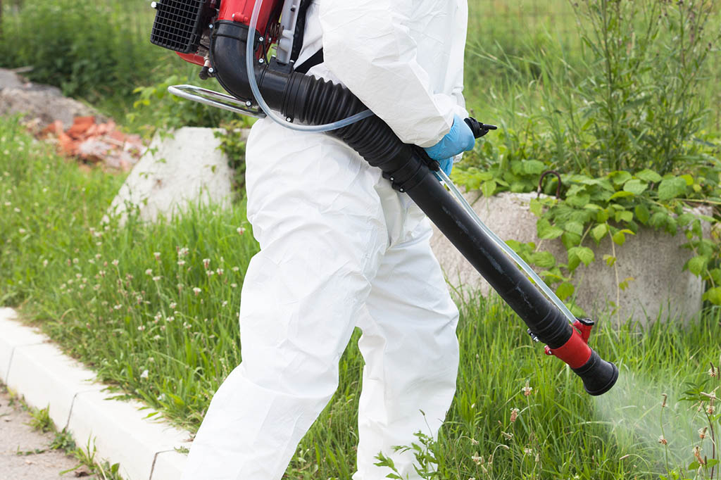 PI Vector Control technician applying mosquito barrier treatment